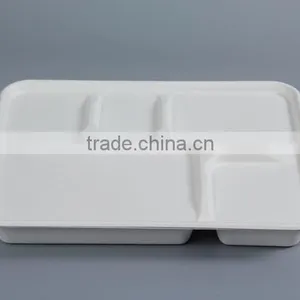 5 Compartment Shallow Tray From Sugarcane thumbnail-1
