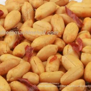 Single-Drum Peanuts Seasoning Machine thumbnail-3