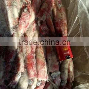 Frozen Loligo Squid Chinensis thumbnail-4