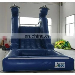 Inflatable Dolphin Water Pool Slide, thumbnail-1