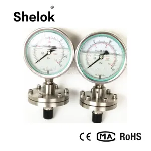 Mpa/mbar Capillary Diaphragm Pressure Gauge thumbnail-1