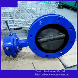 U Type Double Flange Connection Butterfly Valve 1.4529disc thumbnail-3