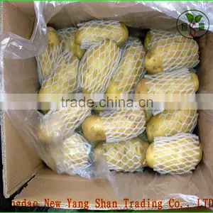 2015 Cang Shan Garlic/Fresh Garlic thumbnail-4