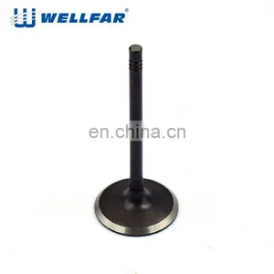 Wellfar OEM Quality For 05 Jetta OE 078 109 601B Engine Parts Intake and Exhaust Valve thumbnail-1