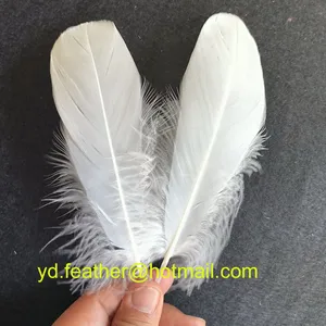 White Goose Feather for Wholesale From China thumbnail-1