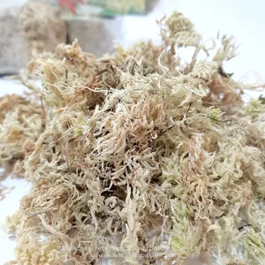 Natural Dried Sphagaum Moss Garden Supplies Moisturizing Nutrition Organic Fertilizer For Butterfly Orchid Flowerpot Decoration thumbnail-2