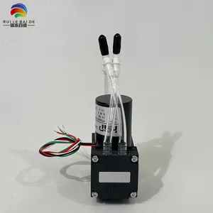 HAP XISTROM Double-head Diaphragm Pump NT046ZK-HB1200 Ink Vacuum Pump 9663000107 thumbnail-2