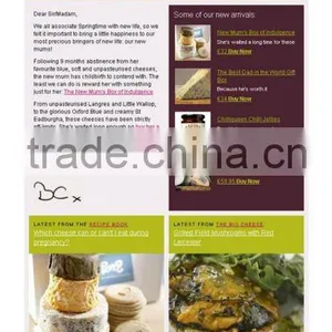 Food Email Newsletter Template Design thumbnail-1