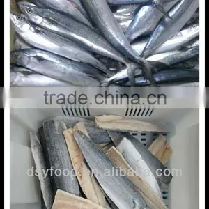Frozen Spanish Mackerel Fillets thumbnail-1