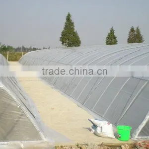 Agricultural Greenhouse Plastic Film With Different Specification thumbnail-1