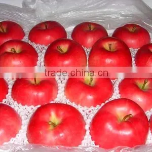 EPE Colorful Fruit and Vegetable Packaging Foam Nets thumbnail-3