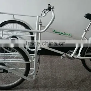 Electric Cargo Bike for Family Use thumbnail-1
