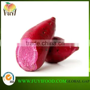Fresh Sweet Potato From Sweet Potato Harvester thumbnail-1