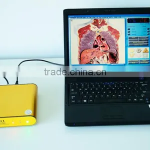 3D NLS Body Health Analyzer thumbnail-1