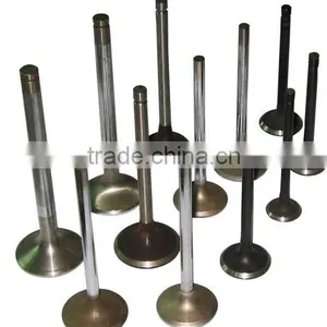Changzhou Diesel Parts S195 Engine Valves thumbnail-4
