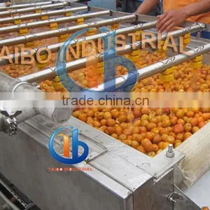 Air Bubble Fruit and Vegetable Washer / Orange Washing Machine thumbnail-2