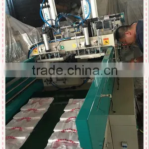 Plastic Garbage Bag and T-shirt Bag Making Machine Manufacturer thumbnail-3