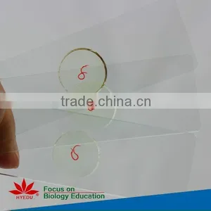 Individual Microscope Prepared Slides Medical Parasite Microscope Slides thumbnail-2