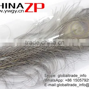 CHINAZP Leading Supplier Wholesale Cheap Full Eye Dyed Grey Long Peacock Tail Feathers thumbnail-6
