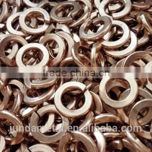 Spring Washer DIN127B Phosphor Bronze M8 thumbnail-4