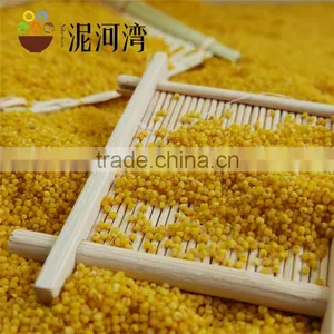 Millet Yellow Millet 2016 Crop High Quality Market Price thumbnail-1