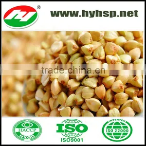 Lentil thumbnail-1