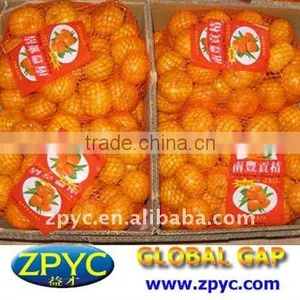 Fresh Chinese Baby Mandarin thumbnail-1