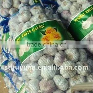 Fresh Normal White Garlic thumbnail-1