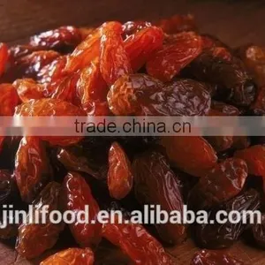 China High Quality AA Sultana Raisin thumbnail-3