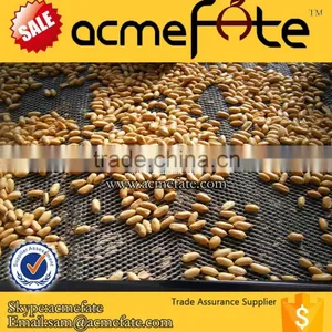 Hot Sell Delicious Roasted and Salted Peanut Food in Tins thumbnail-1