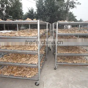 VIETNAM FRESH GINGER SIZE 150 UP thumbnail-4