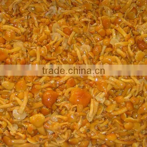 Nameko Mushroom in Brine thumbnail-4