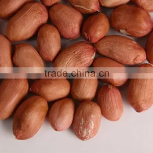 Peeled Peanut thumbnail-3