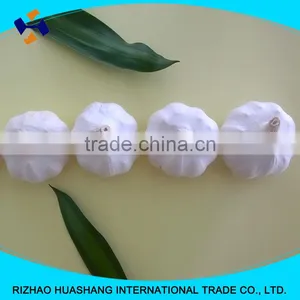Pure White Fresh Garlic Size6.0cm thumbnail-4