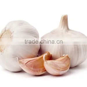 VIETNAM FRESH WHITE GARLIC OF NEW DROP 2016 thumbnail-5