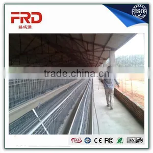 FRD Chicken Poultry Farm Layer Cage (Manufacturer ISO9001-2000)/Model Poultry Cage thumbnail-1