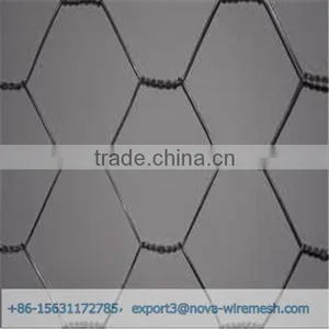 Low Cost Hexagonal Netting /chicken Wire Mesh/ Poultry Hexagonal Netting for Sale thumbnail-2