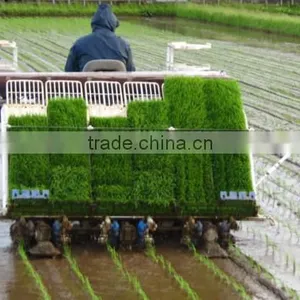 New Type Agricultural Equipment Kubota Rice Transplanter Machine Price Spw-48c thumbnail-5