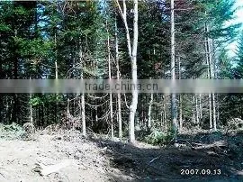 Hokkaido Iwamizawashi Land for Selling thumbnail-1