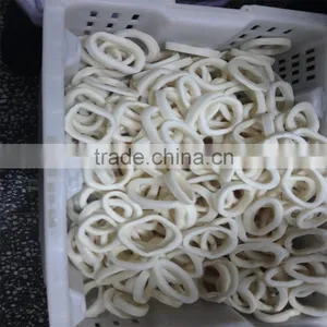 IQF Pacific Squid Rings (Todarodes Pacificus) thumbnail-3