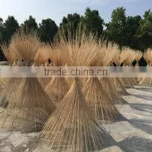 Xiamen Lvjie International Trade Co., Ltd. company overview - view 3 thumbnail
