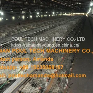 Saudi Arabia Broiler Farming A Frame Full Automatic Broiler Cage & Chicken Coop & Hot Galvanized Cage to Improve Meat Production thumbnail-4