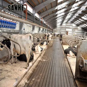 Cow Home Steel Structure Farm Shed for Cattle thumbnail-2