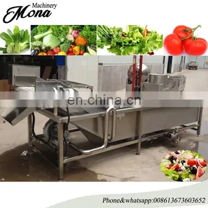 High Speed Ozone Sterilizing Vegetable Washing Machine / Bubble Fruit Washing Machine thumbnail-1