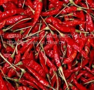 Pepper Drying Machine thumbnail-5