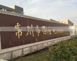 Changzhou Changlong Motor Co., Ltd. company overview - view 3 thumbnail