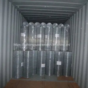 Galvanized Welded Wire Mesh Weldedwiremesh Chickenwirenetting Wire Netting Poultry Fence Poultrymesh Welded Wire Black Wire Black Welded Weldwire thumbnail-4
