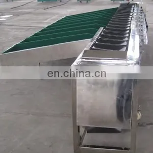 Factory Passion Fruit Roots Citrus Apple Processing Avocado Onion Size Grader Sorter Grading Sorting Machine thumbnail-4