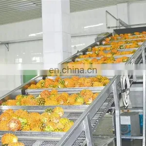 Top Quality Fresh Pineapple Juice Syrup Processing Machine thumbnail-3