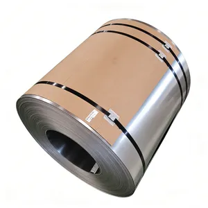 316L Thin Precision Coil 600mm 800mm 1000mm Width 0.1-0.5mm Foil Tight Tolerance thumbnail-1